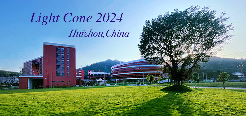 Light-Cone 2024: Hadron Physics in the EIC era